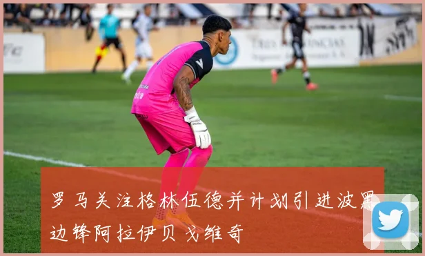 罗马关注格林伍德并计划引进波黑边锋阿拉伊贝戈维奇